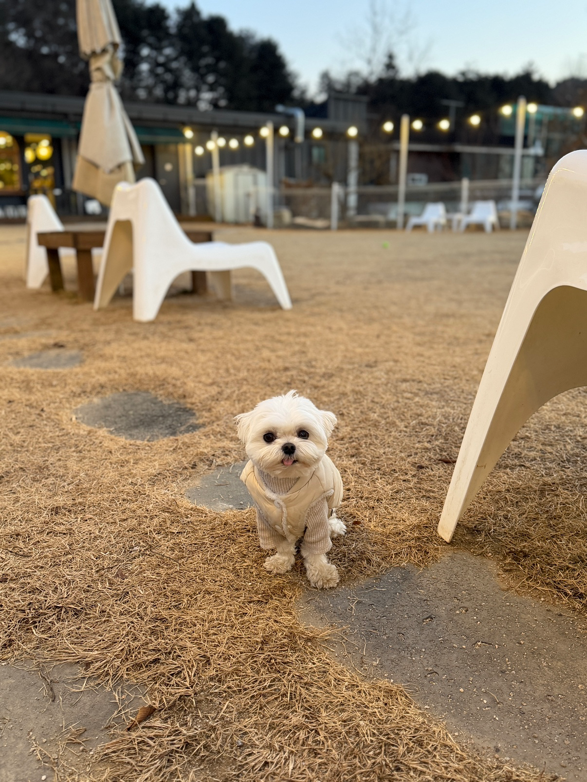 밥풀이를 소개합니다