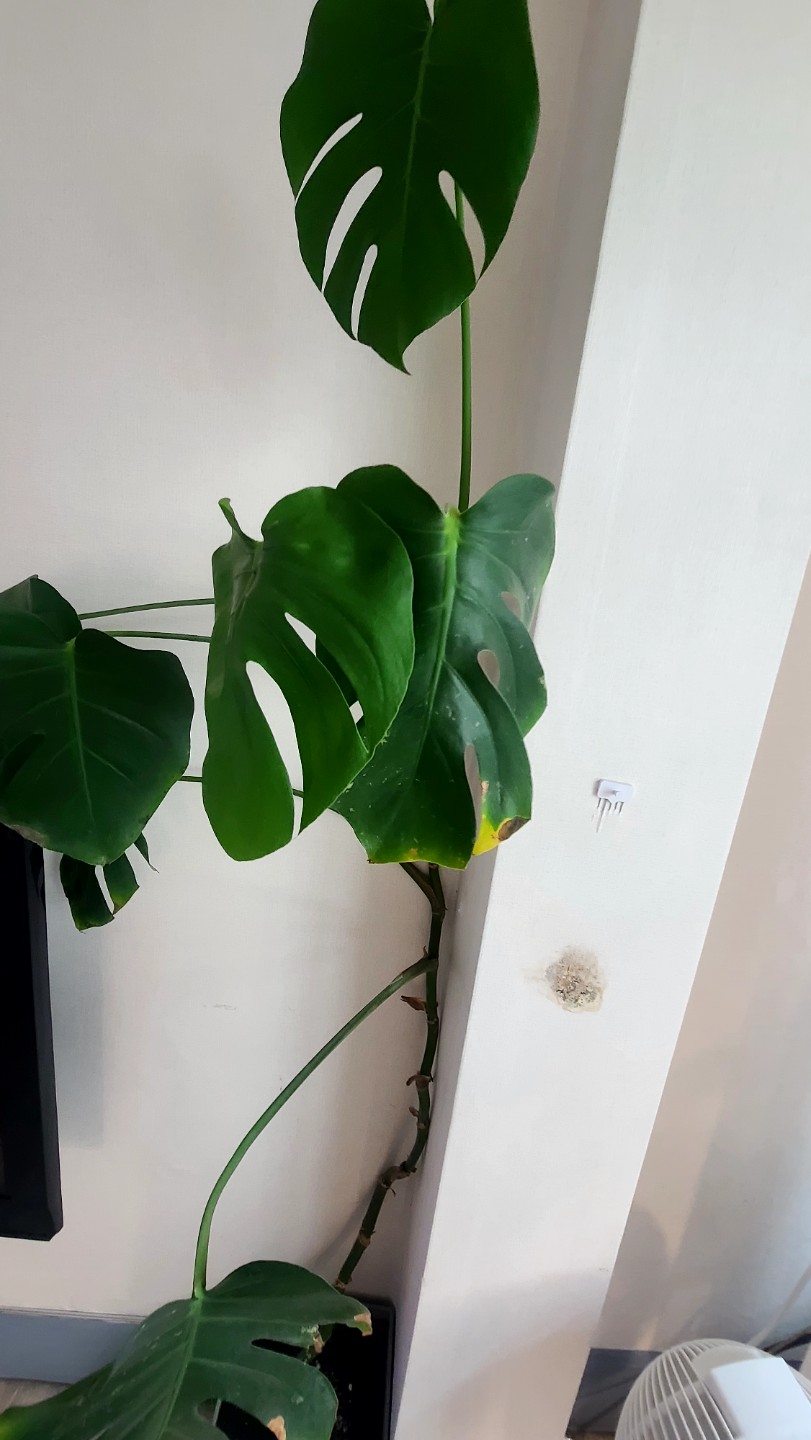 Post image 16