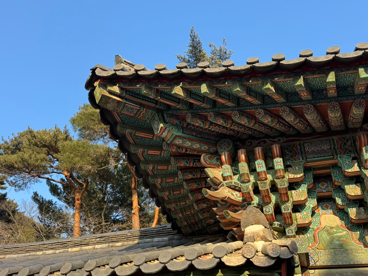 Post image 6
