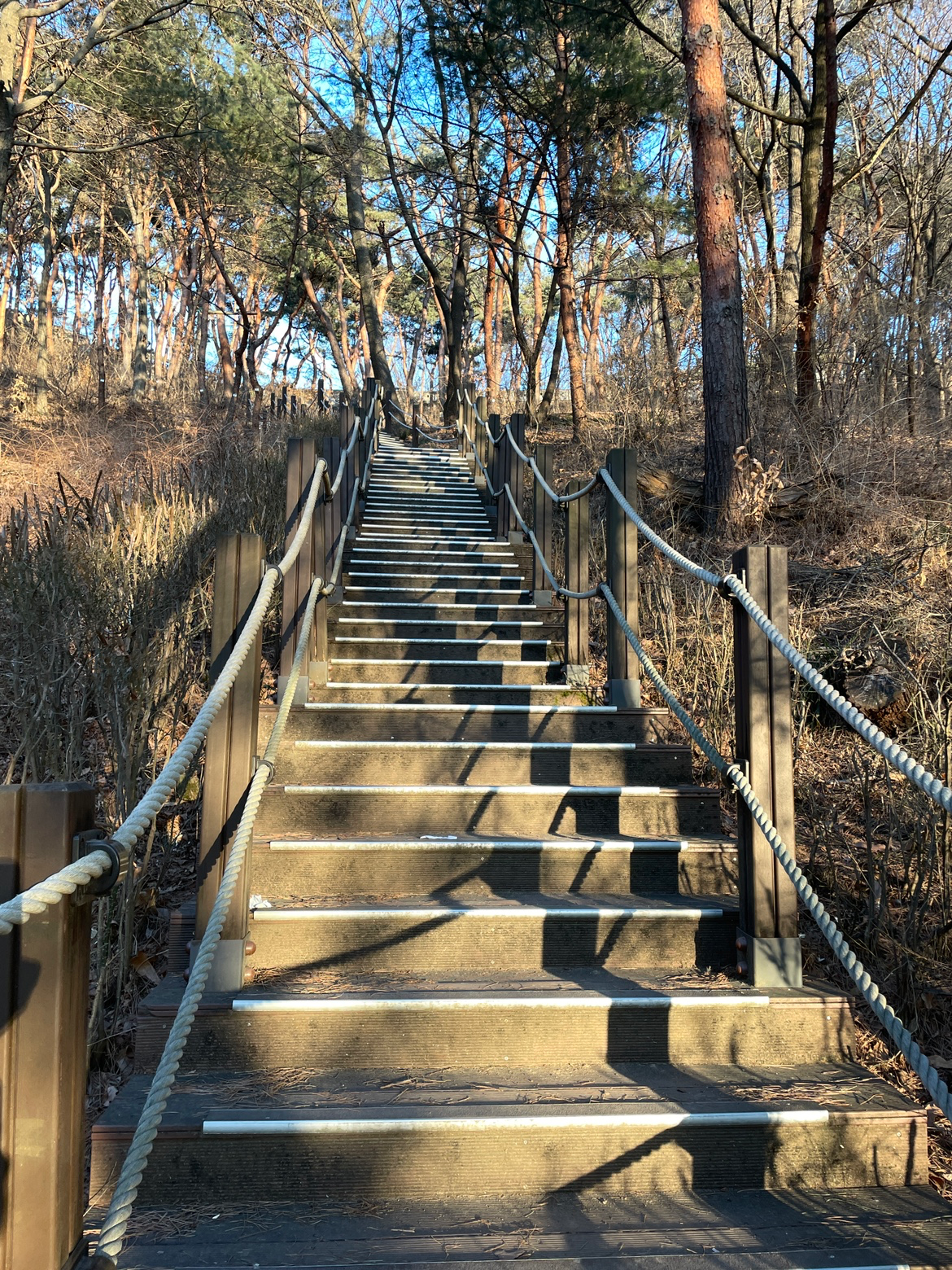 오늘은 계단을 걸어봤어요.