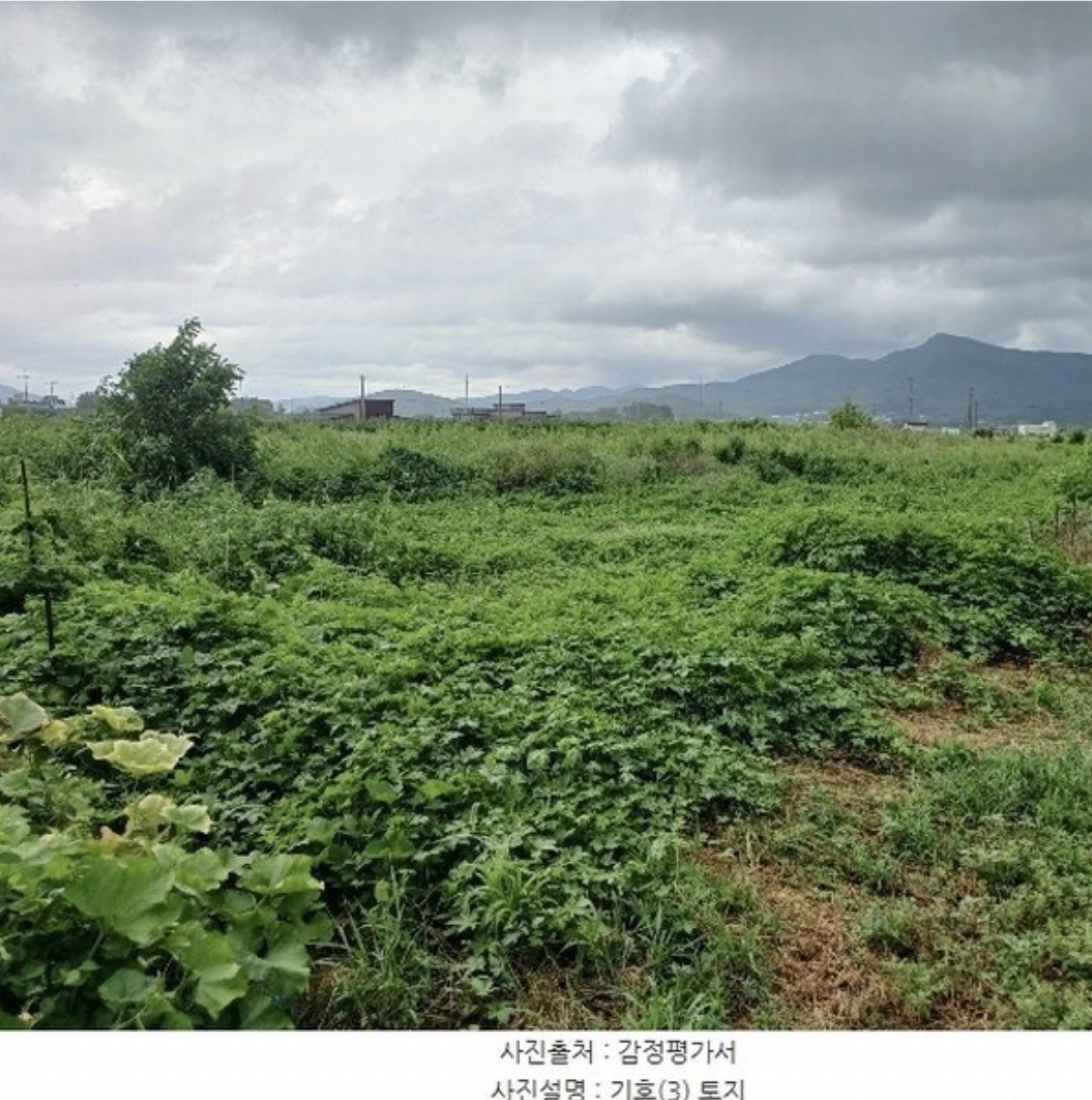 강화군 화도면 내리 34% 600평