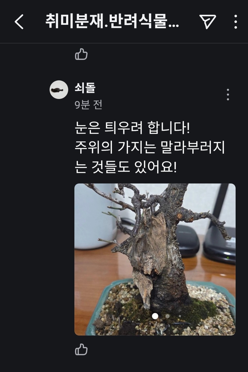쇠돌님 운용매 좀 봐주세요..