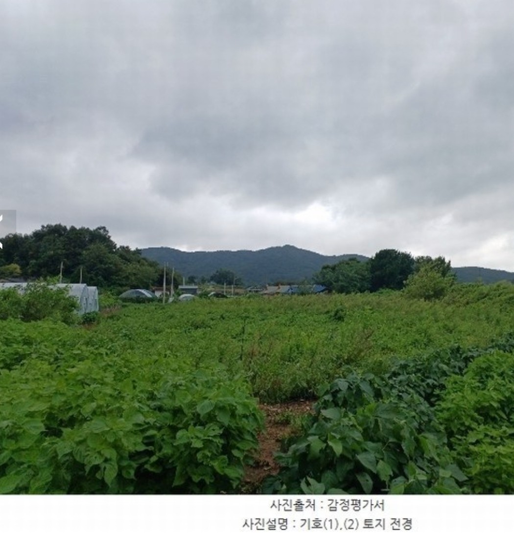 강화군 화도면 내리 34% 600평