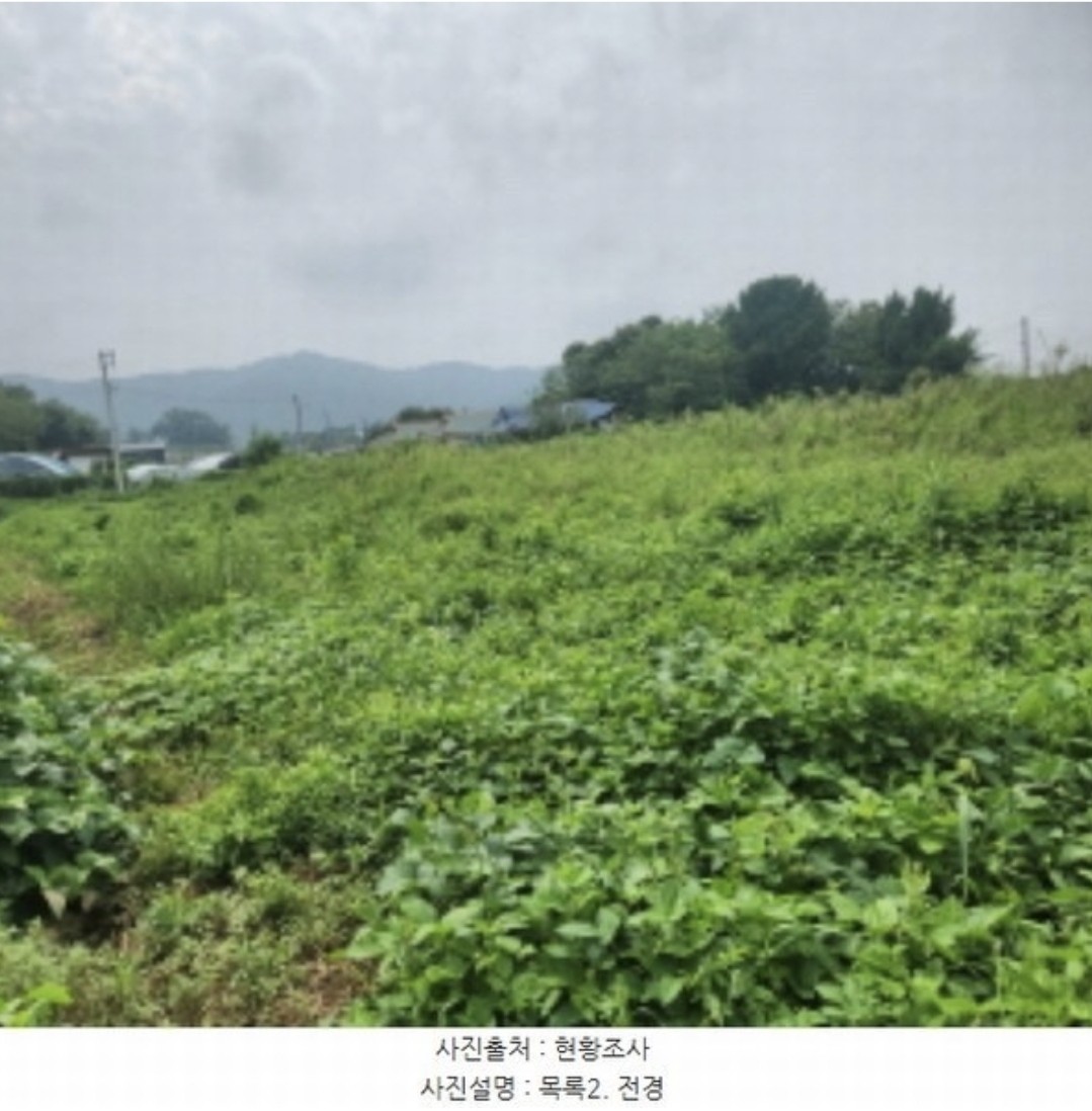 강화군 화도면 내리 34% 600평