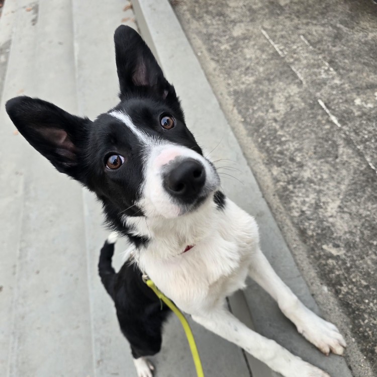 과잉보호가 분리불안을 만드는 이유