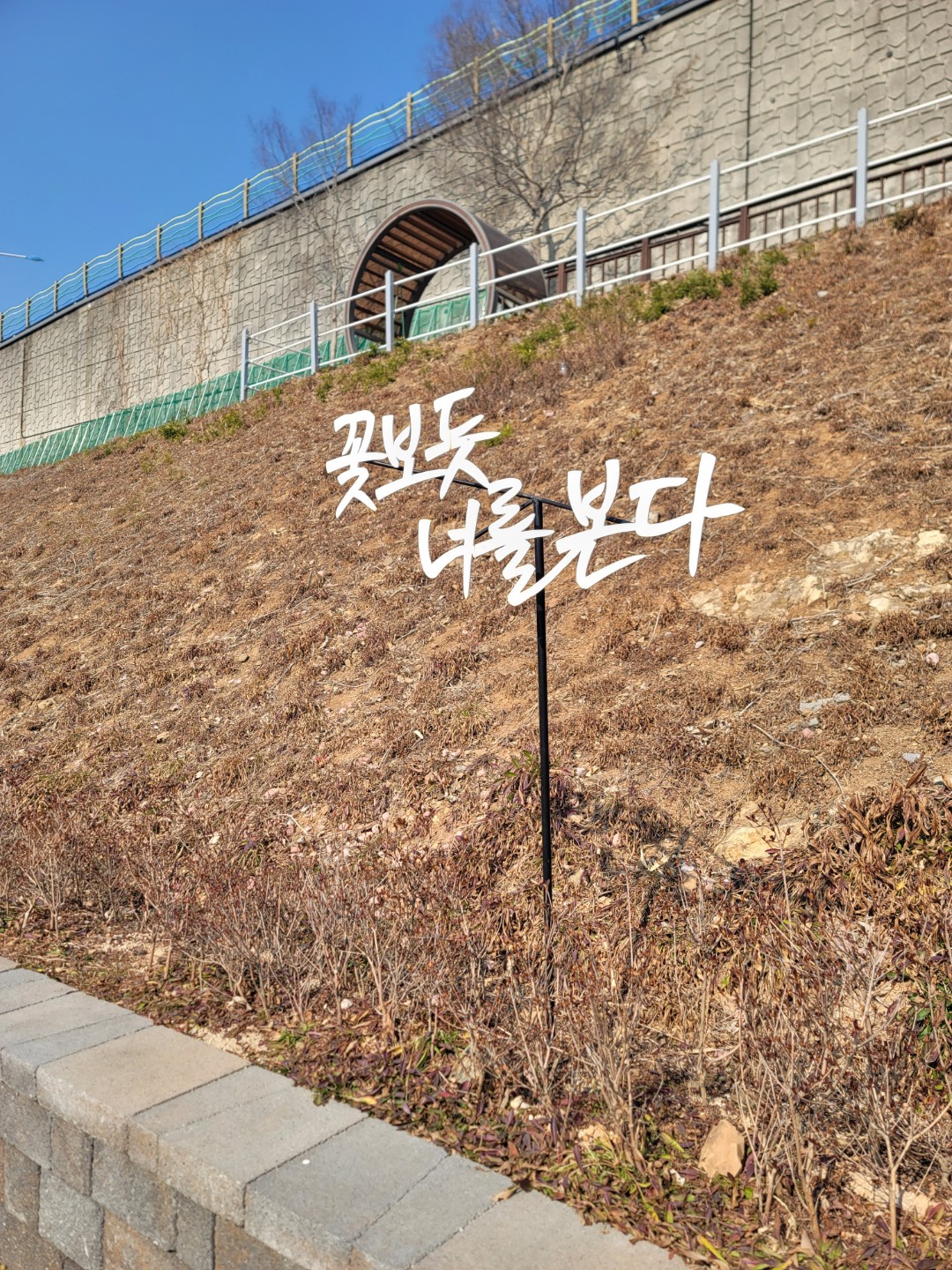 꽃보듯 나를 본다