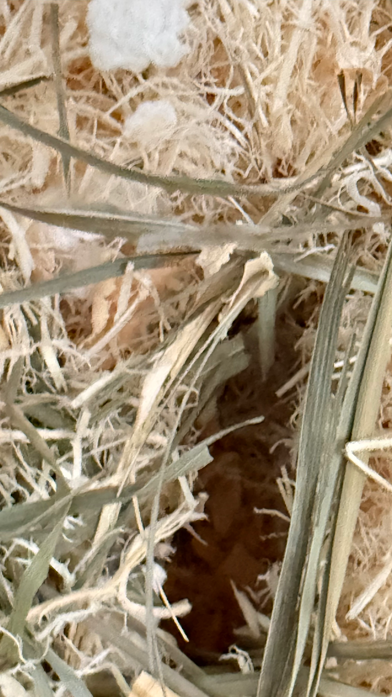 Post image 7