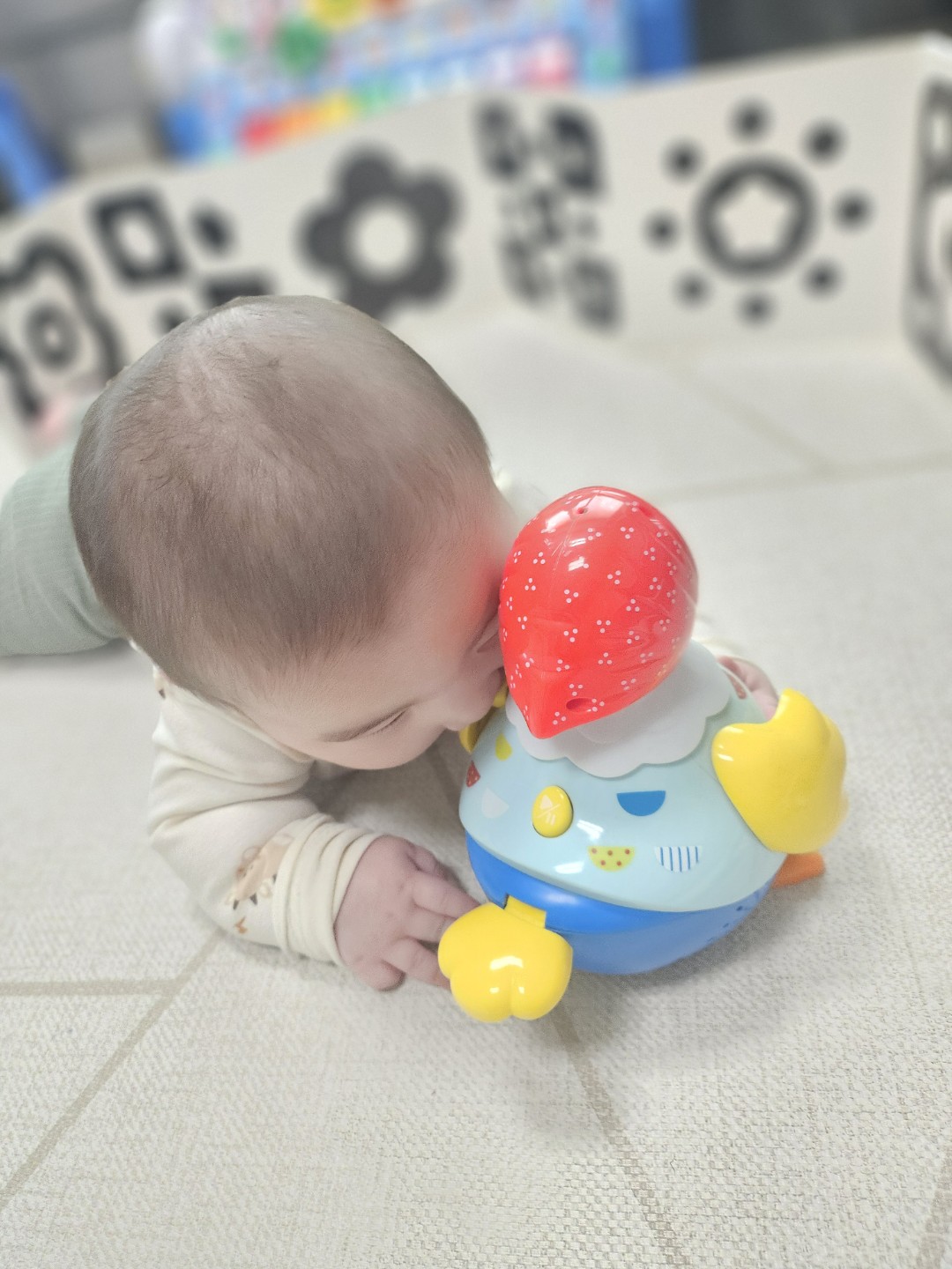 6개월 터미타임 꼬꼬맘