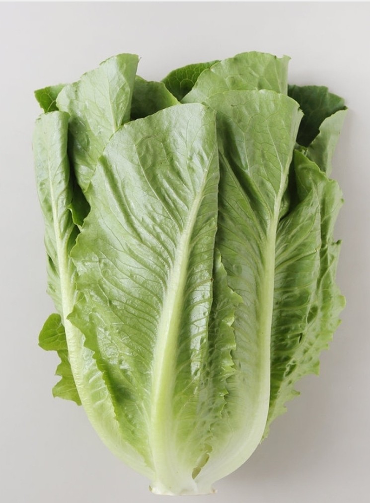 Post image 14