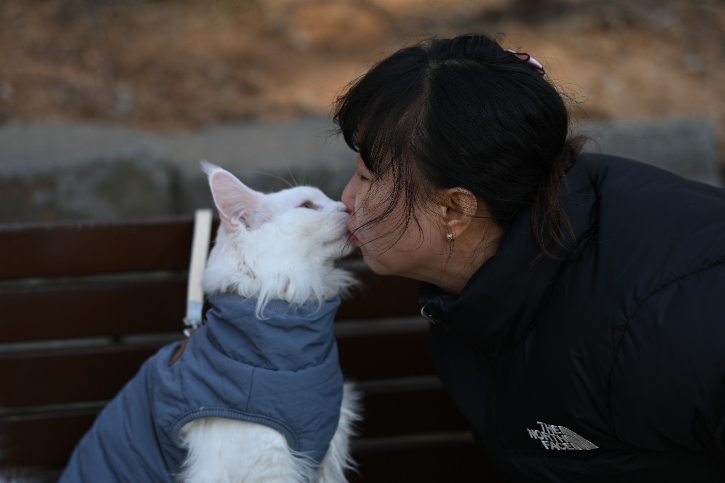 산책하기 좋아하는 루나,입니다~~날씨 화창할때면 등산도하고 바닷가에도 놀러가고합니다~~♡♡