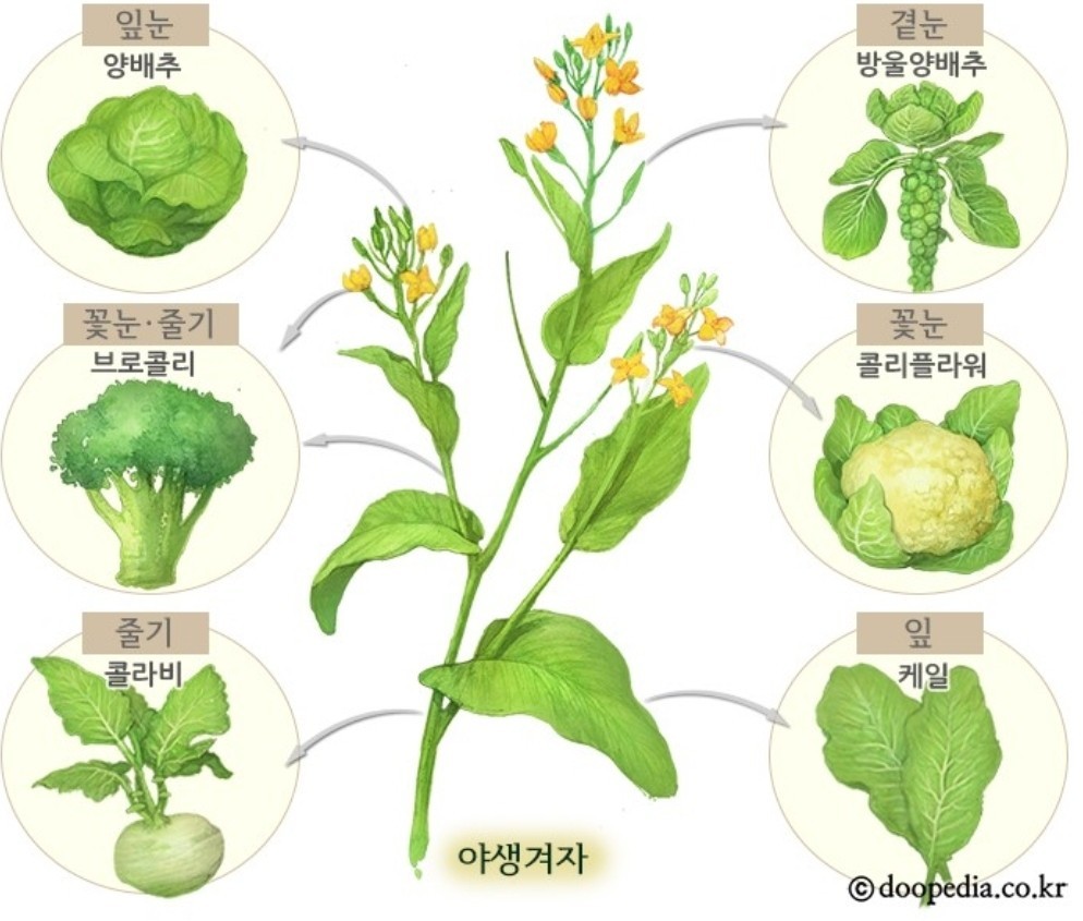 Post image 15