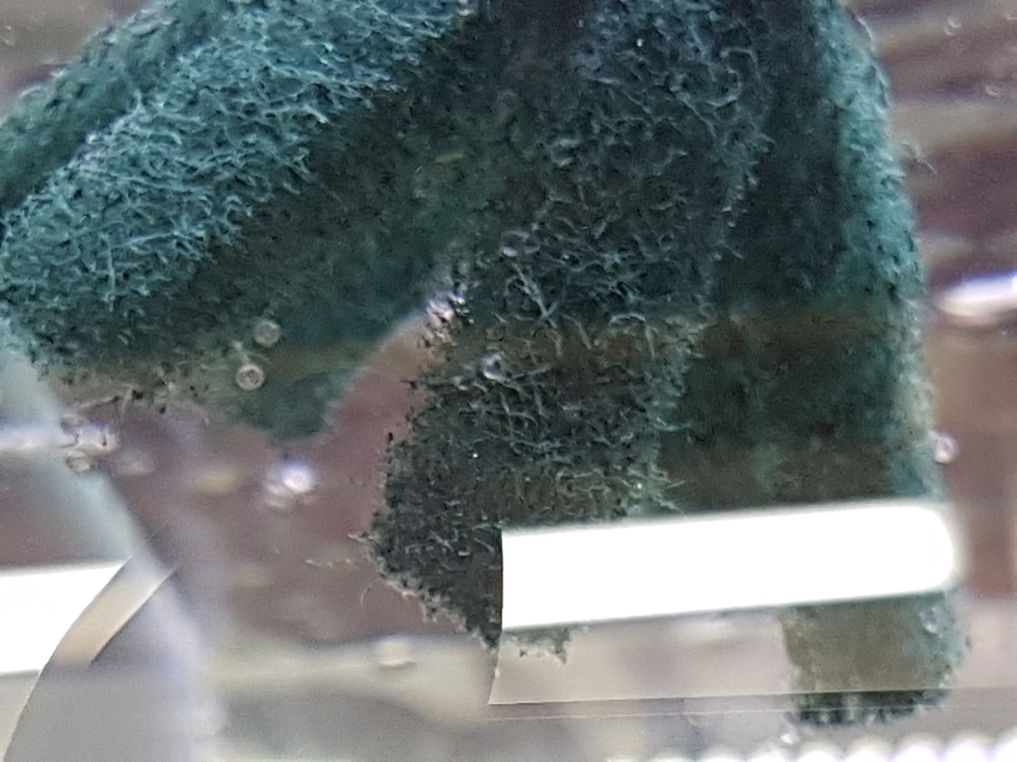 Post image 8