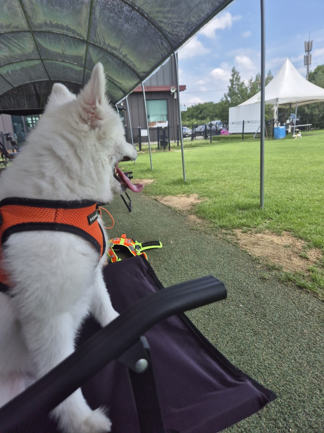 달려말아? 일단 쉰다