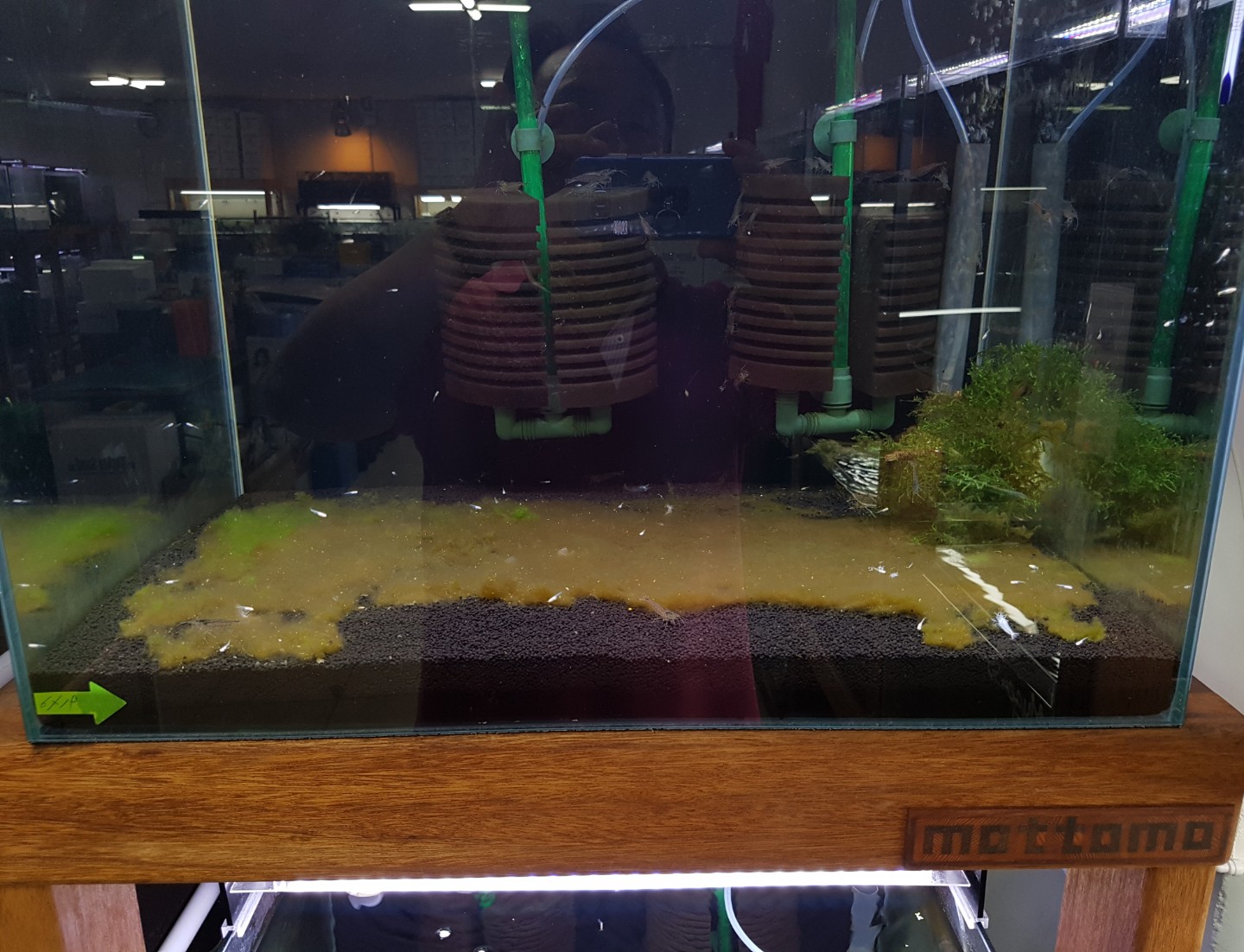 Post image 6