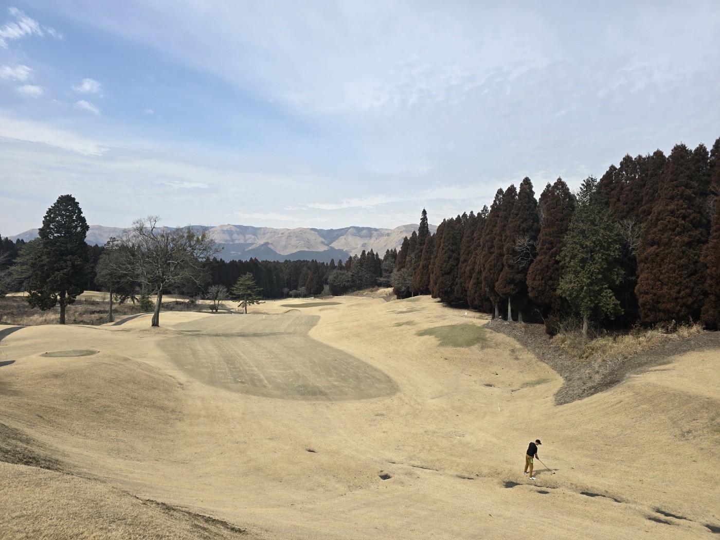 Post image 6