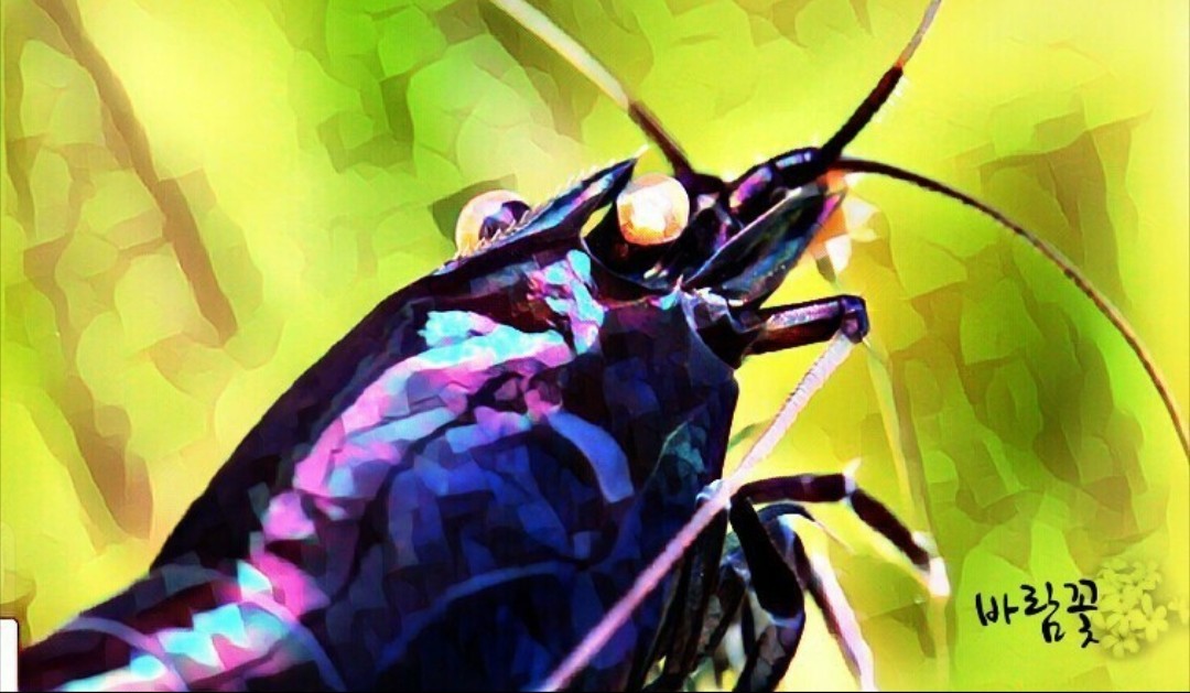 Post image 20