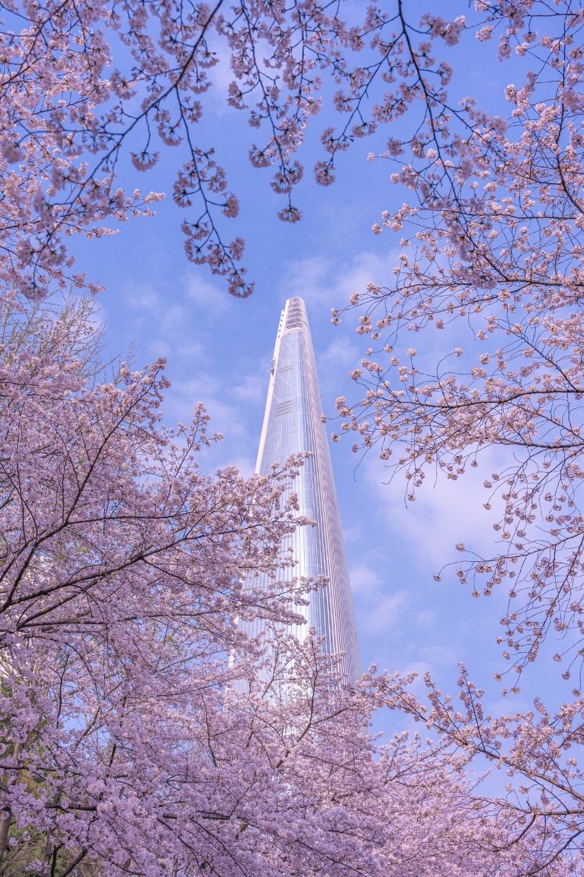 곧 다가올 봄 시즌