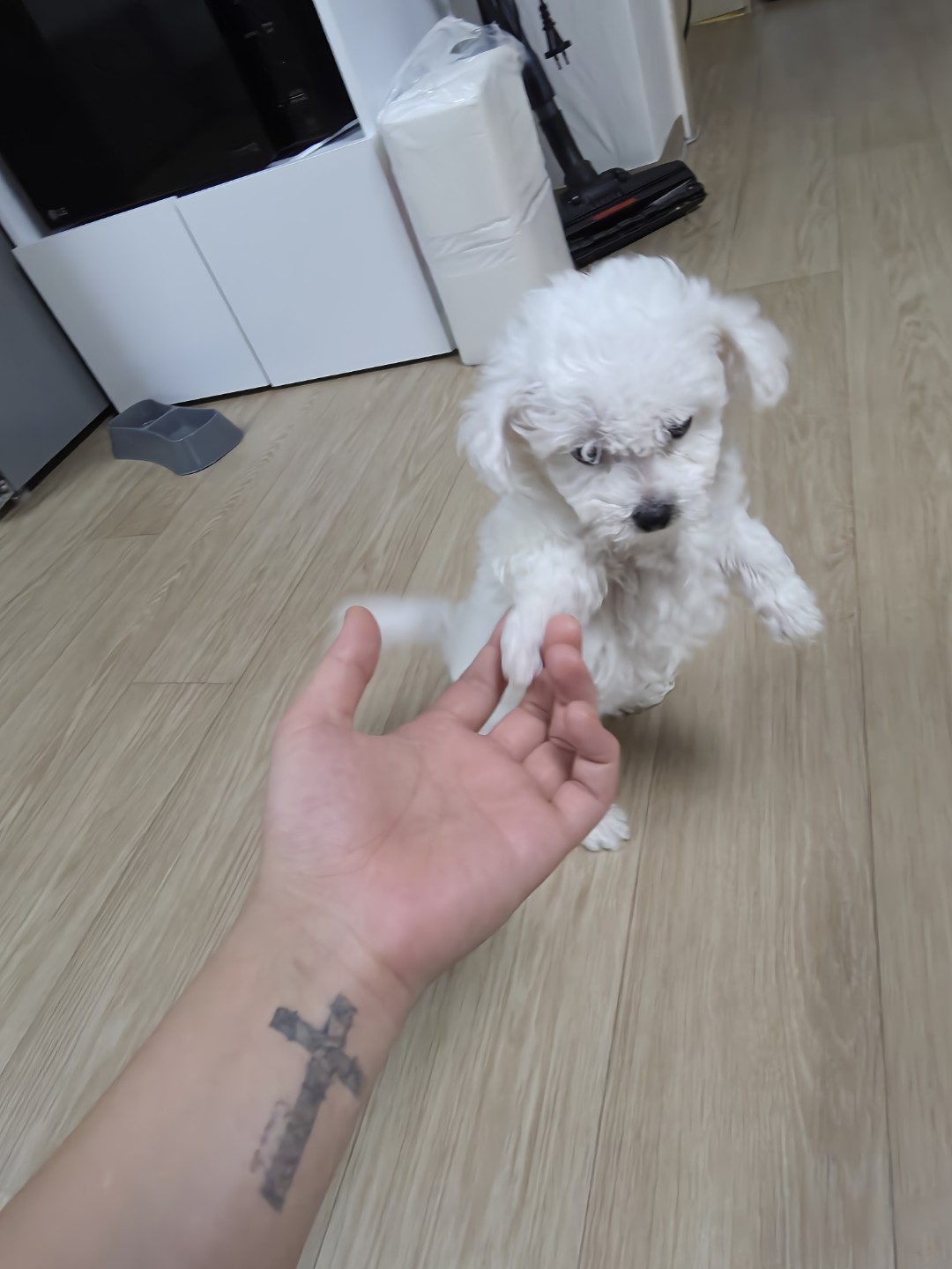 아빠도 처음이라..