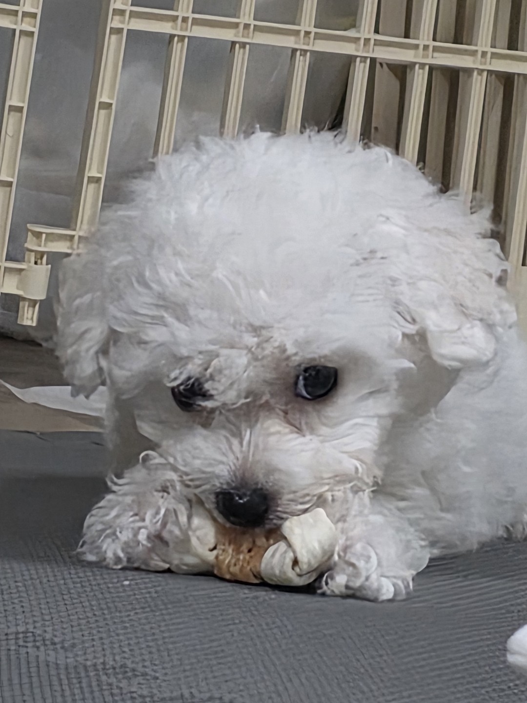 아빠도 처음이라..