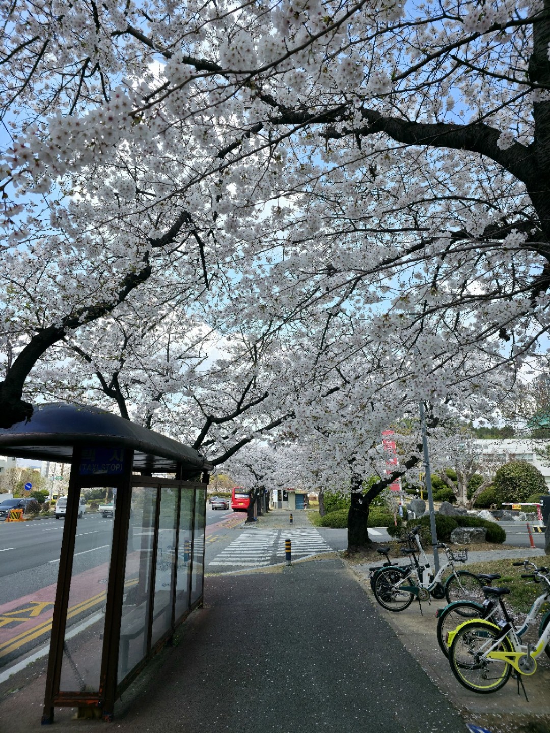 Post image 5