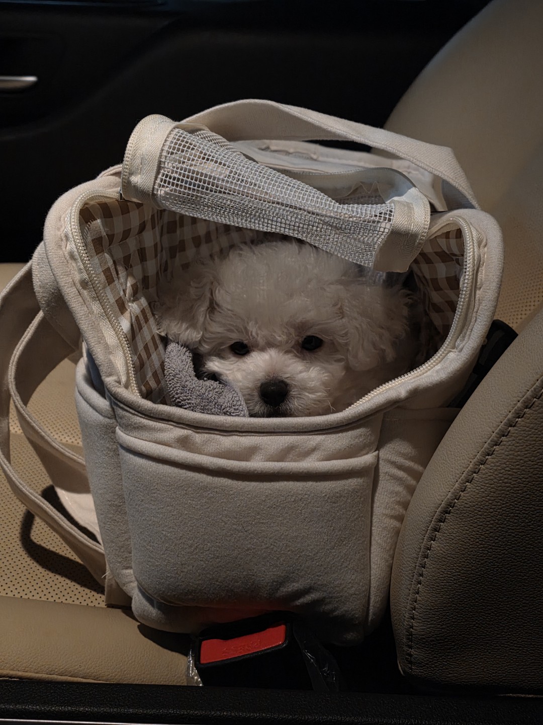 아빠도 처음이라..