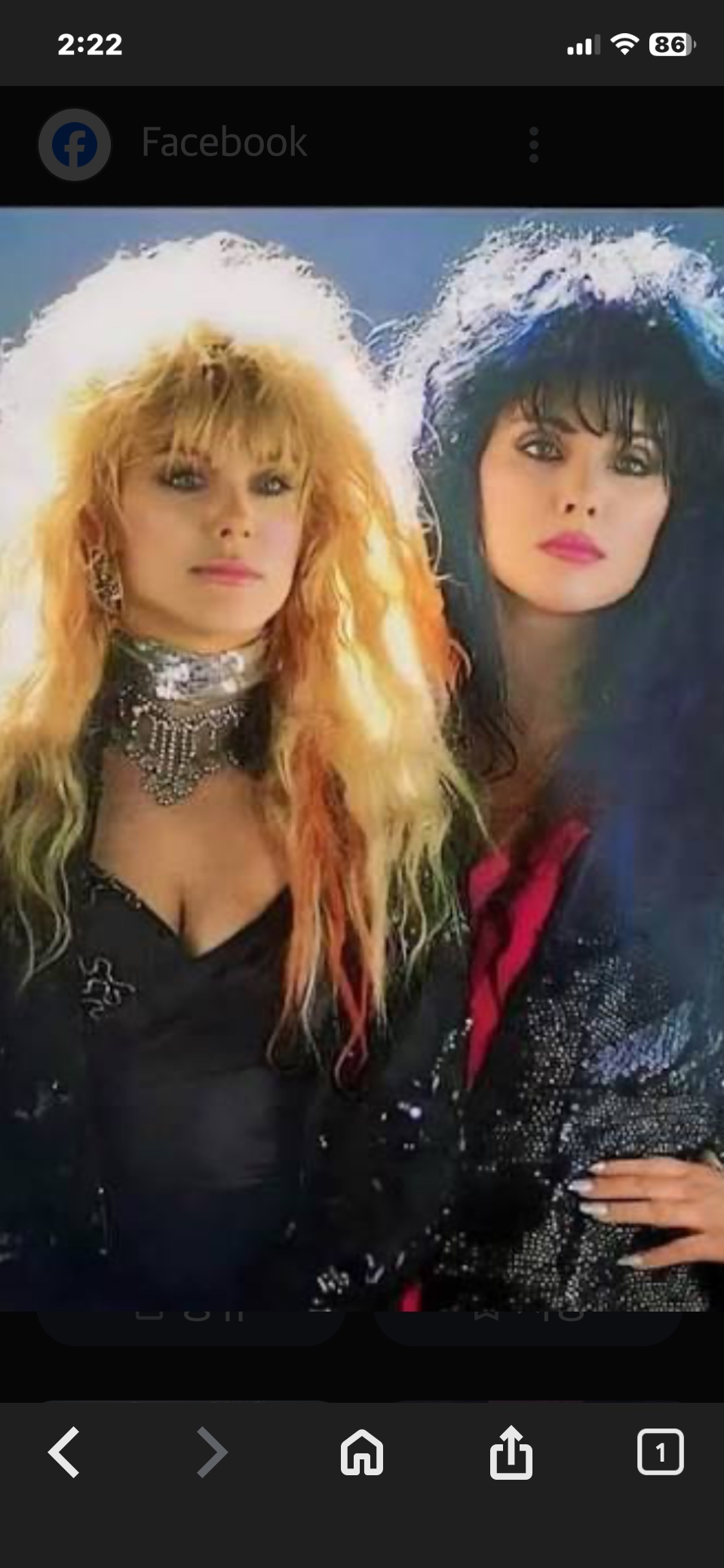 영원한 rock 의 화신,  heart.