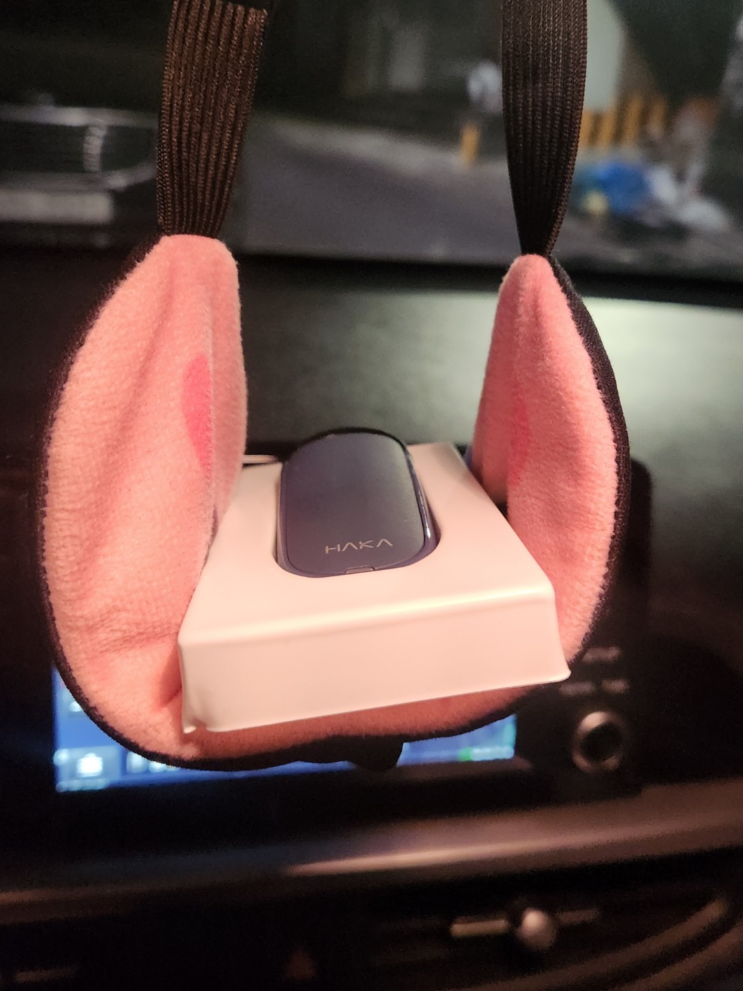 핑크빗이었던 것