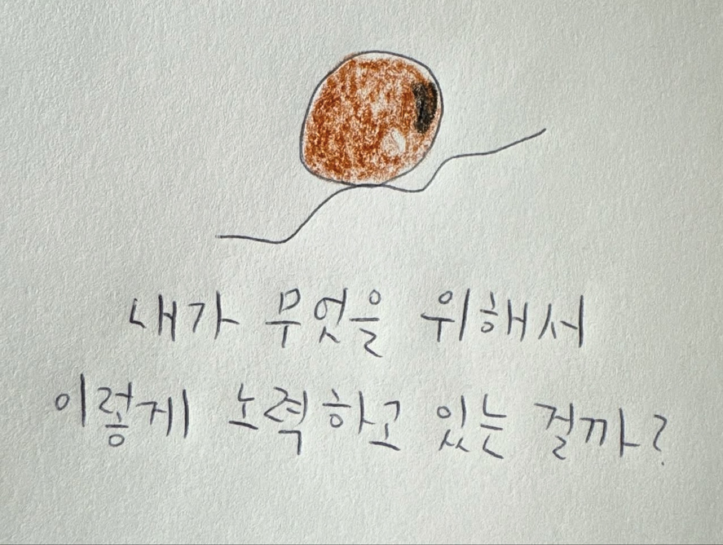 Post image 61