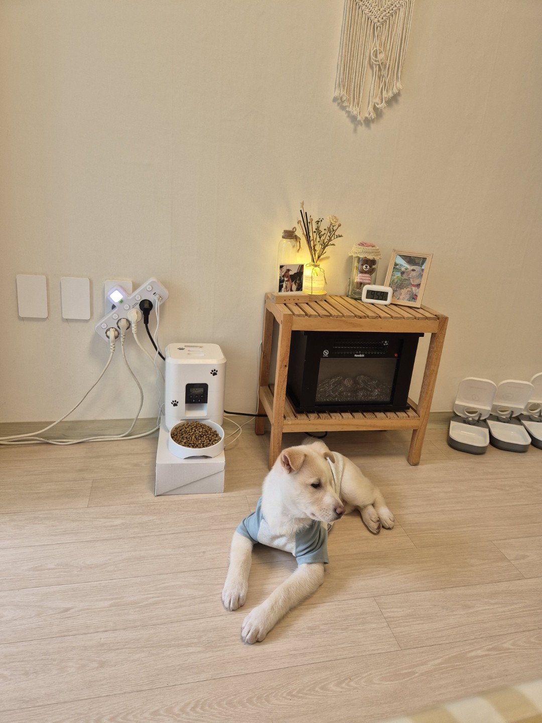 Post image 12
