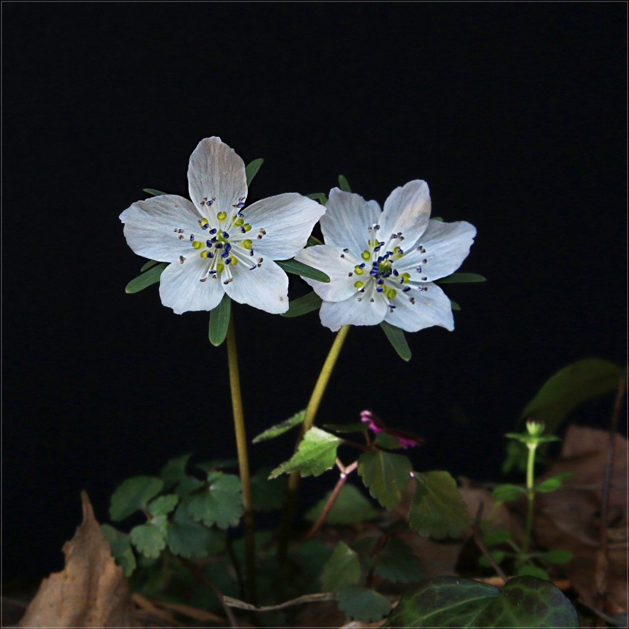Post image 3