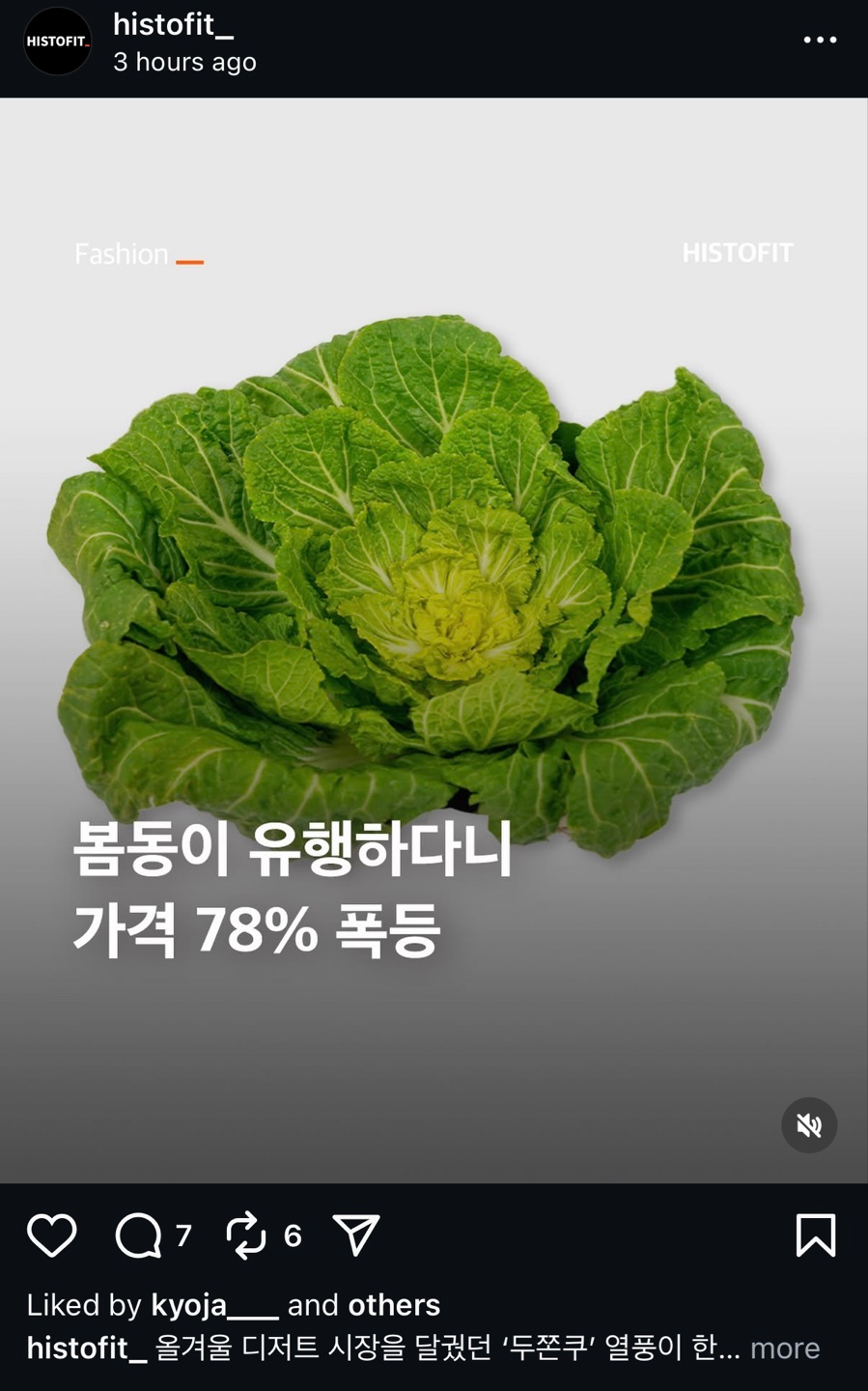 유행에 미친 한국 : 봄동 가격 폭등