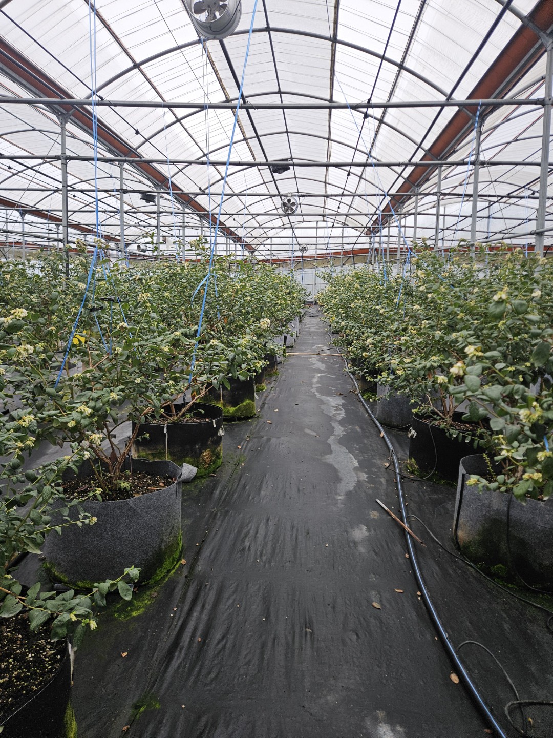 Post image 5