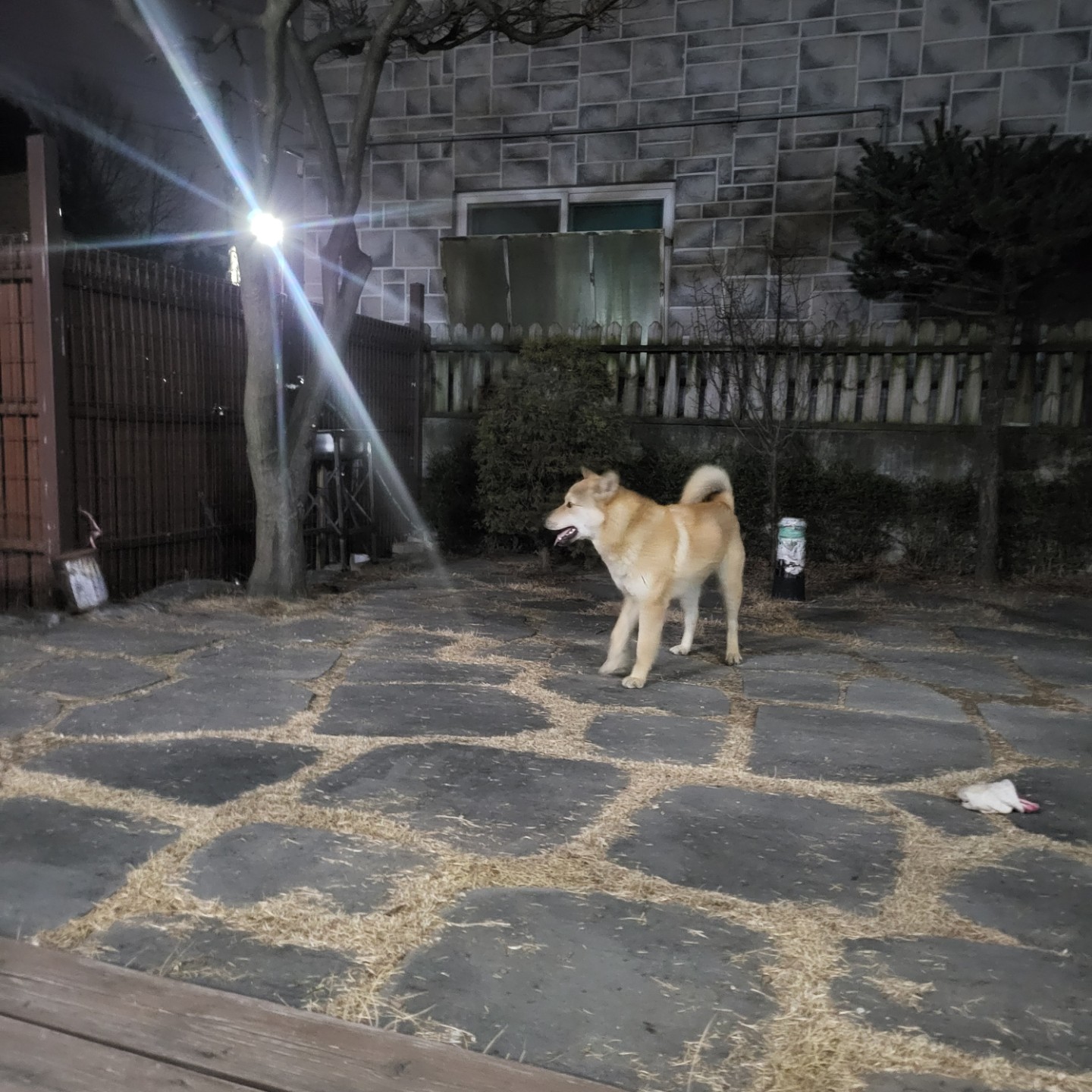 Post image 4