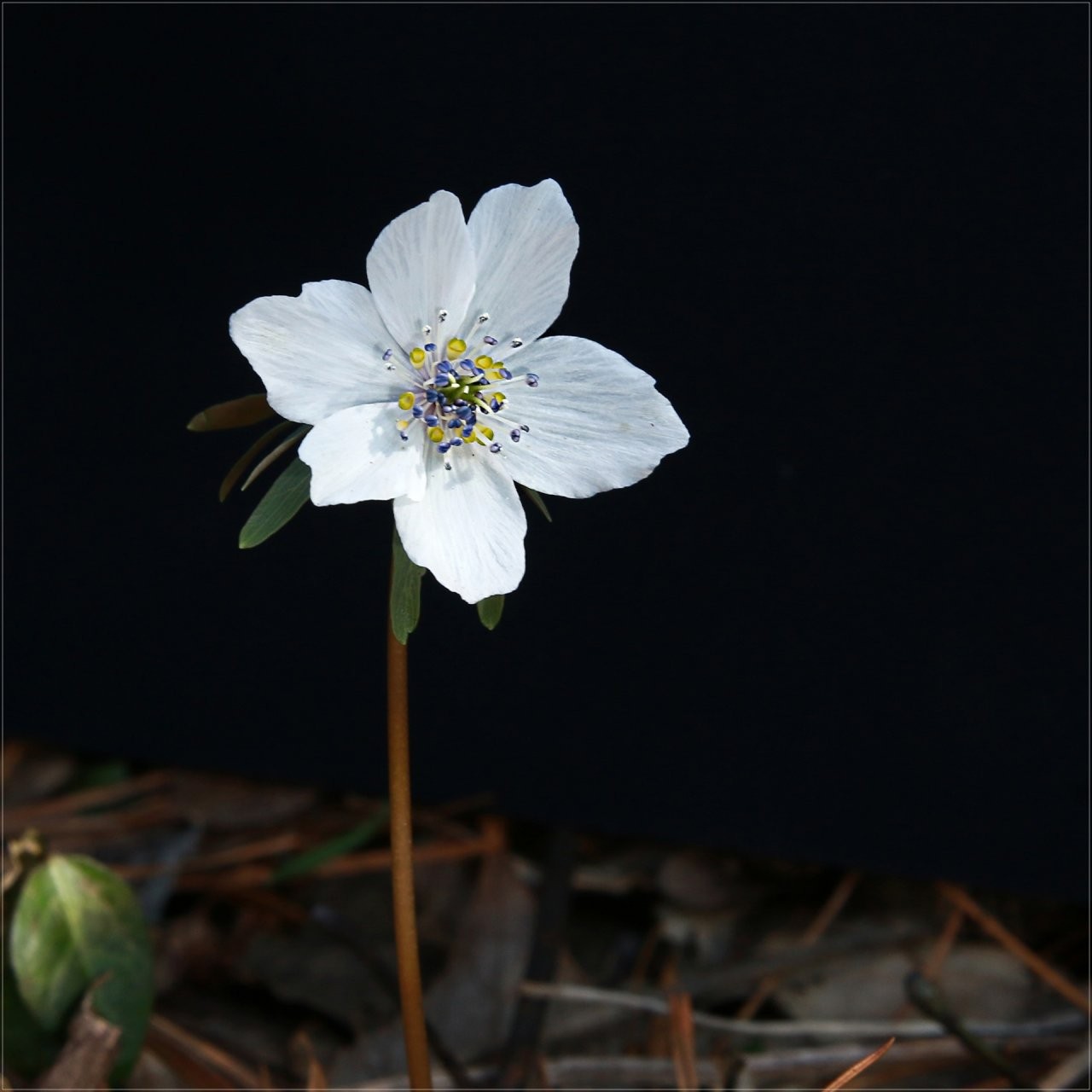 Post image 5