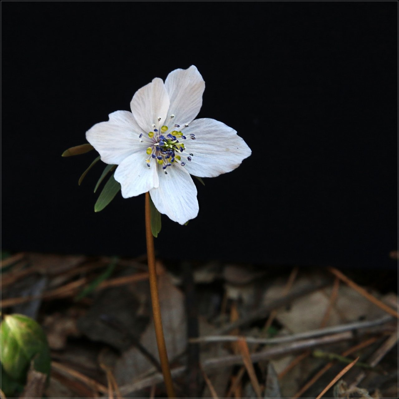Post image 4