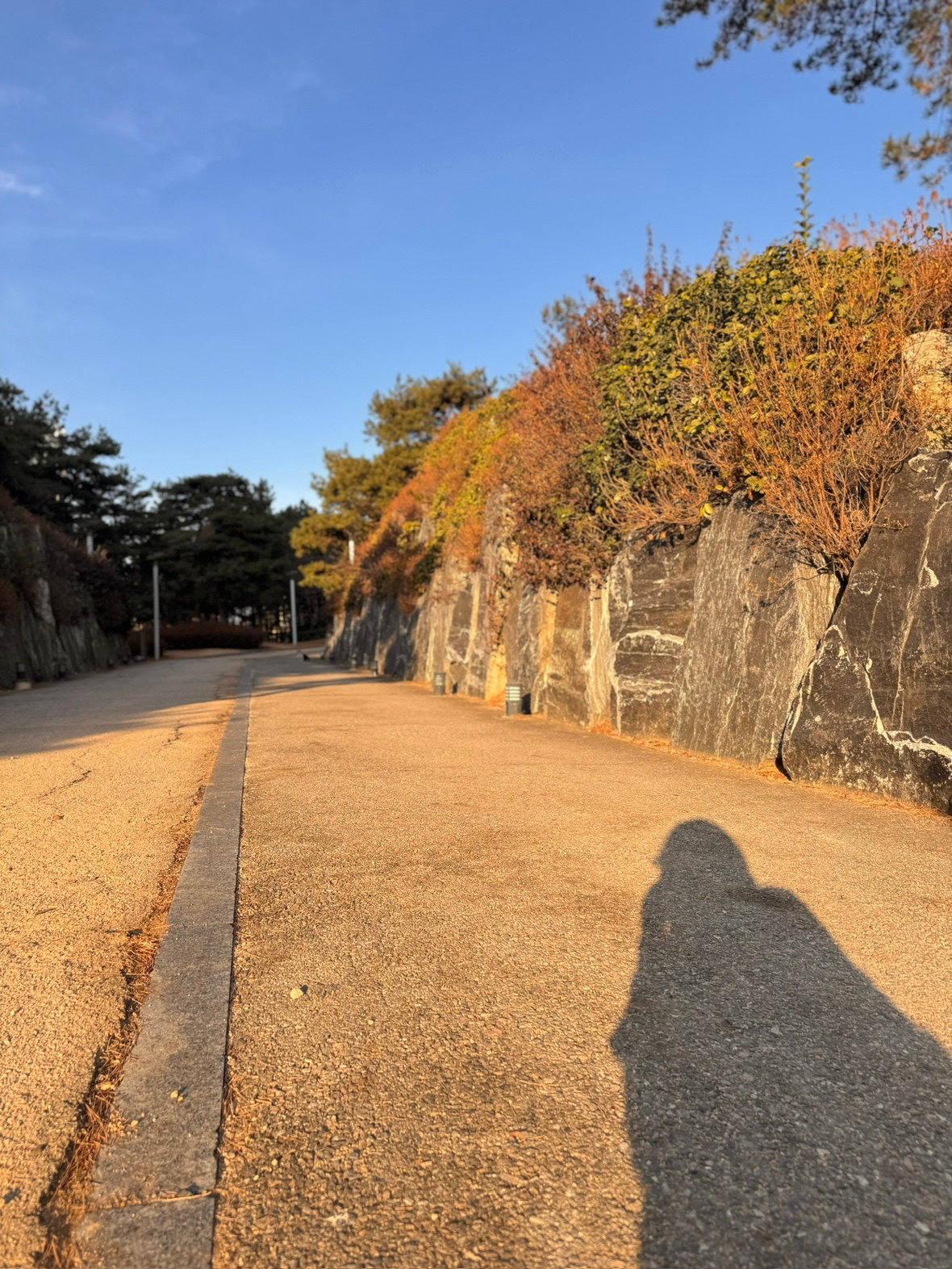 Post image 6