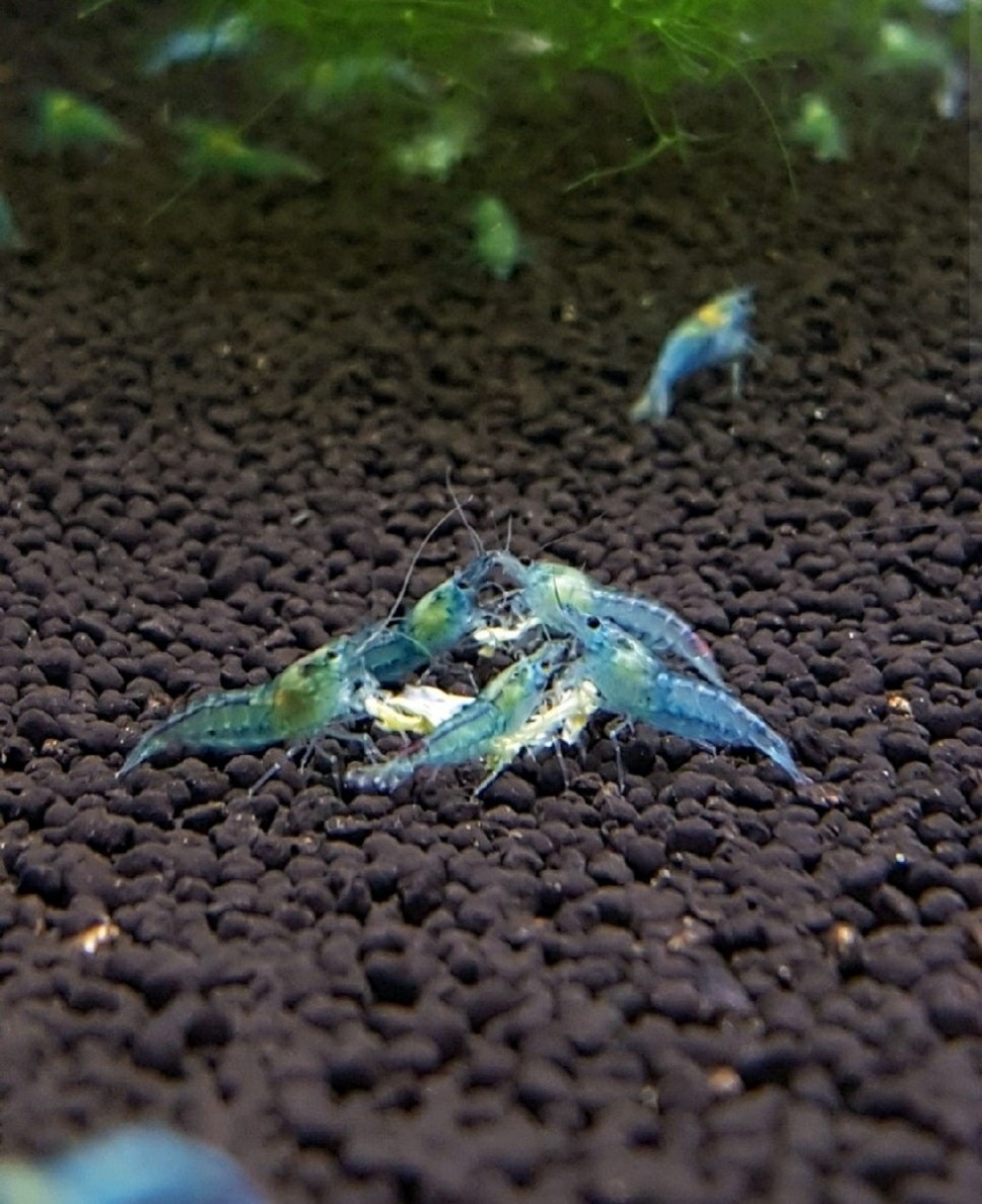 Post image 11