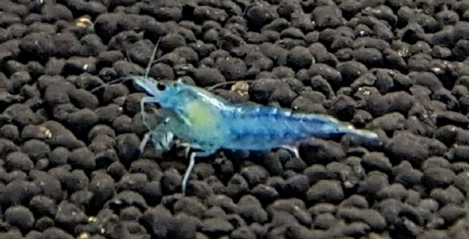 Post image 12
