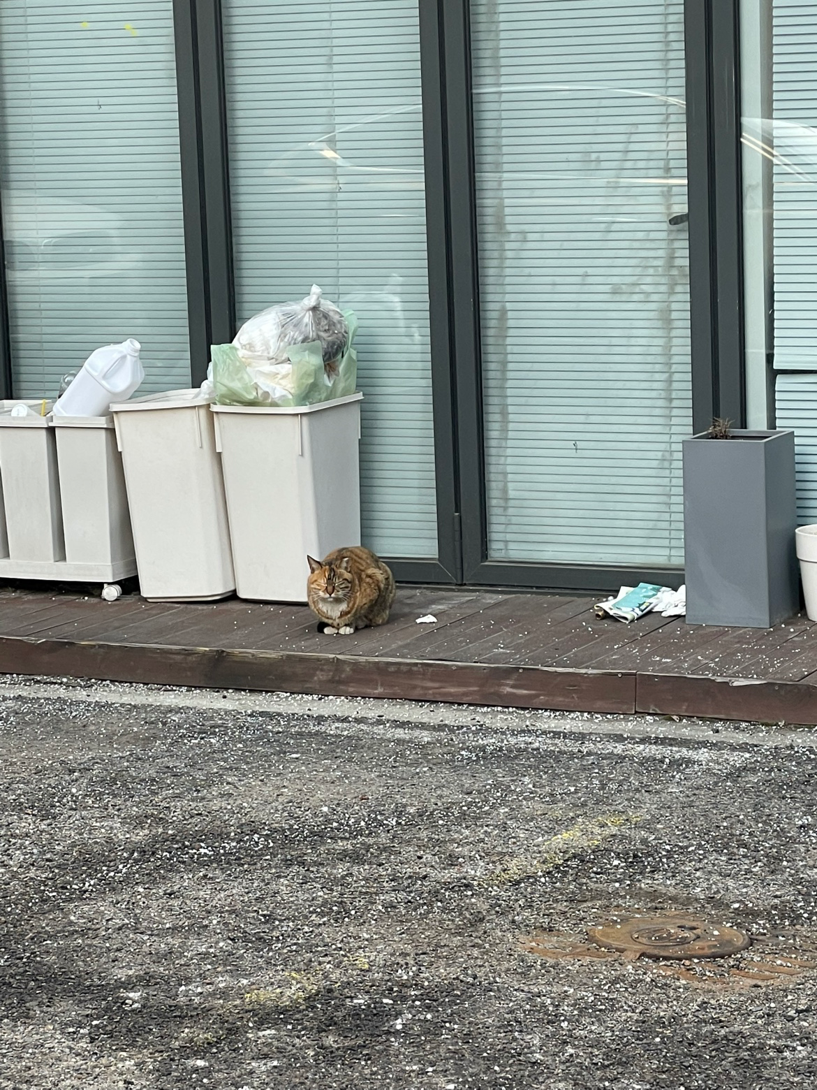 Post image 7