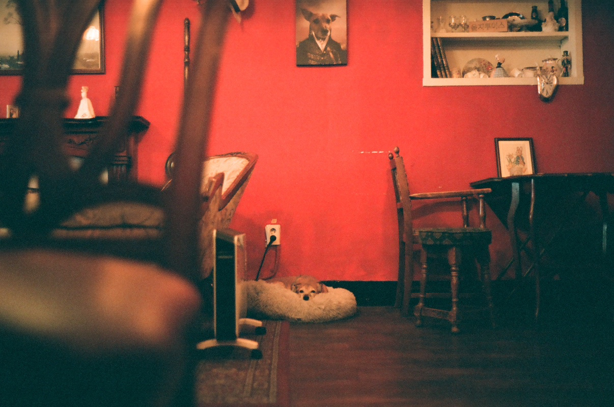 Post image 5