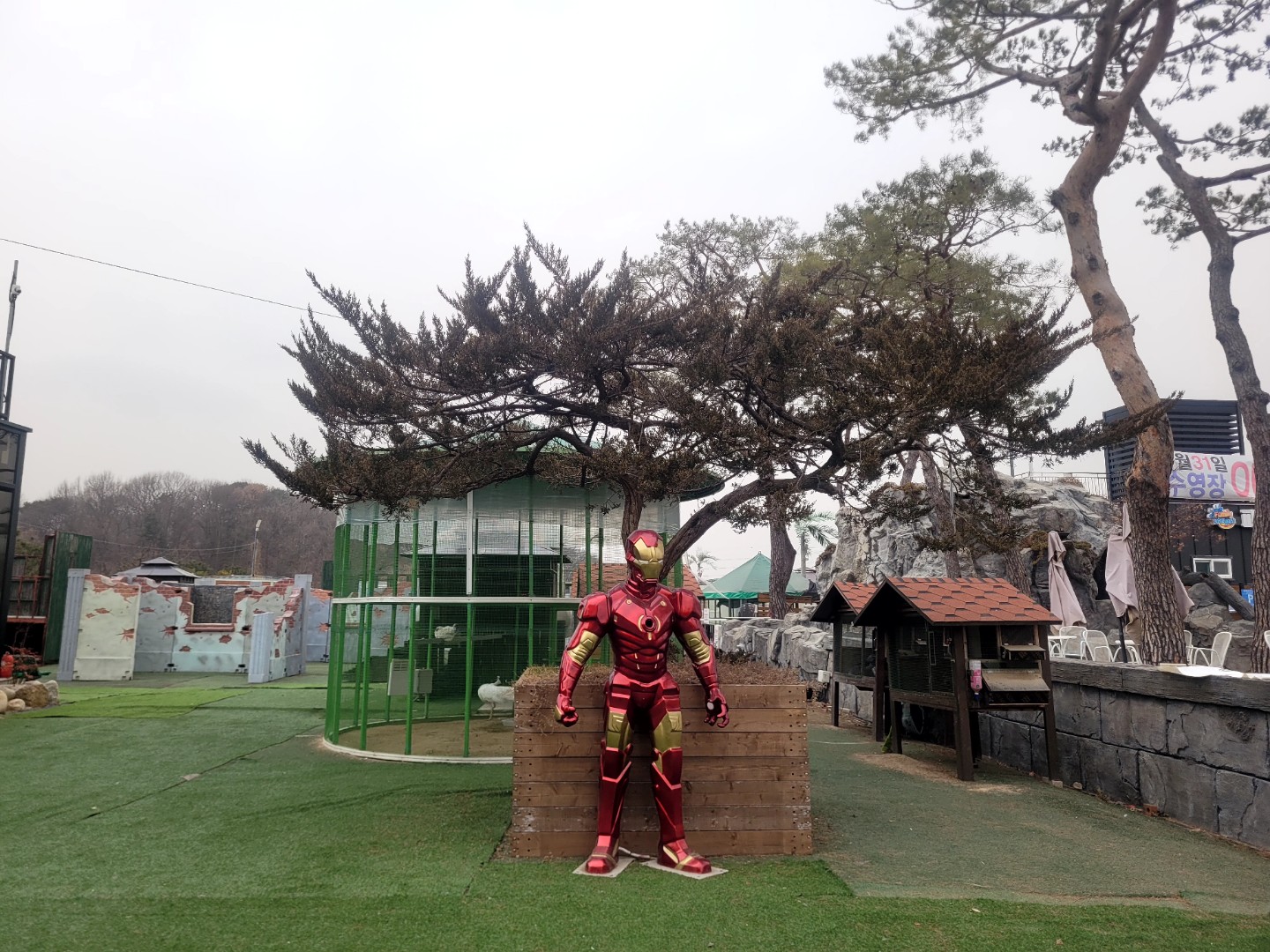 Post image 16