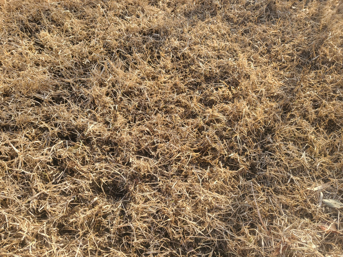 Post image 8