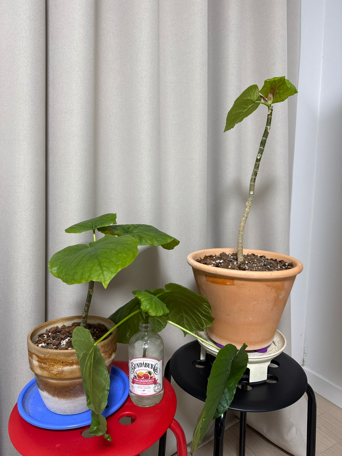 Post image 11