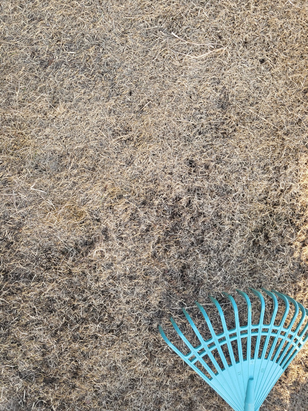 Post image 9
