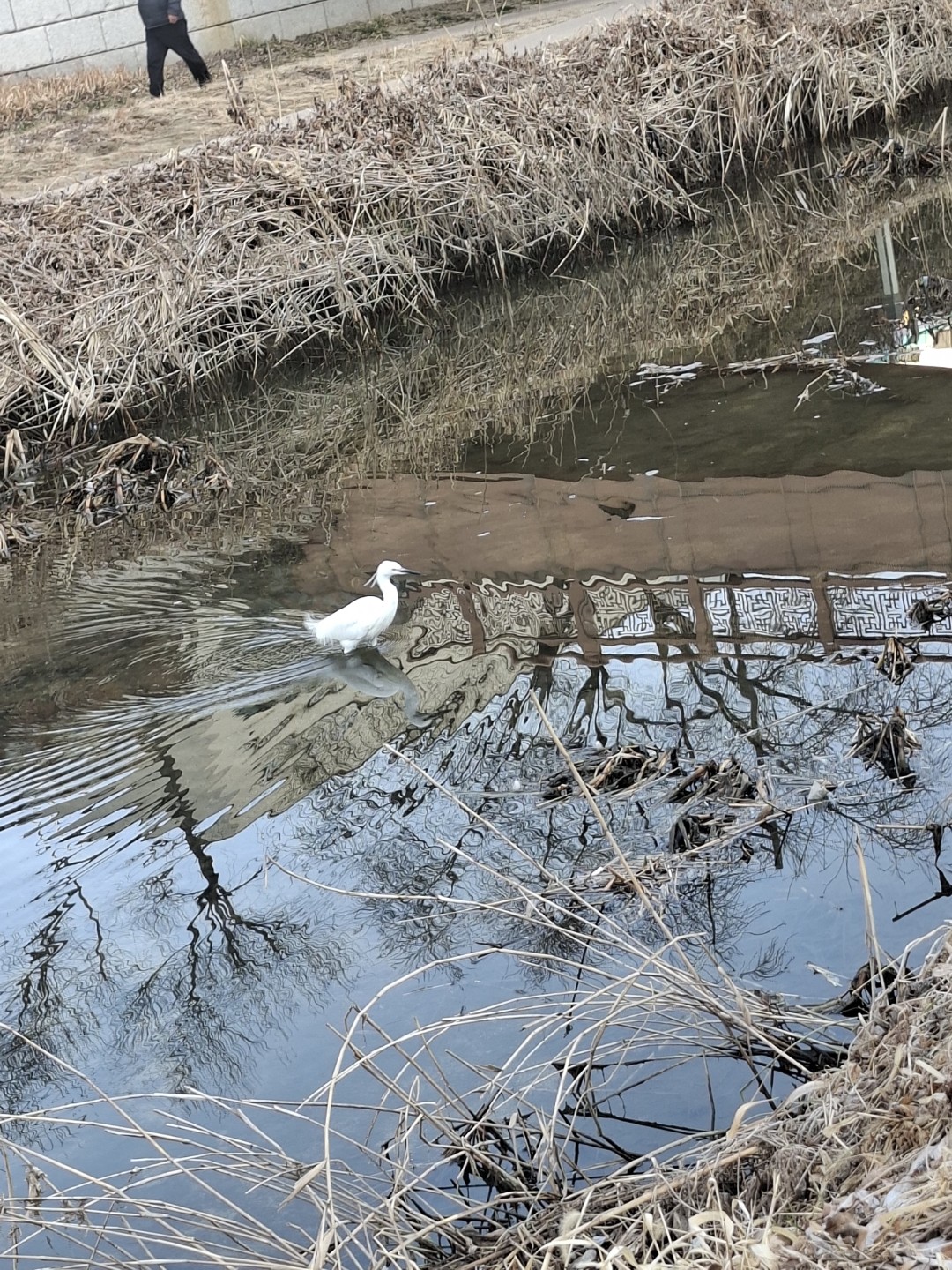 Post image 6