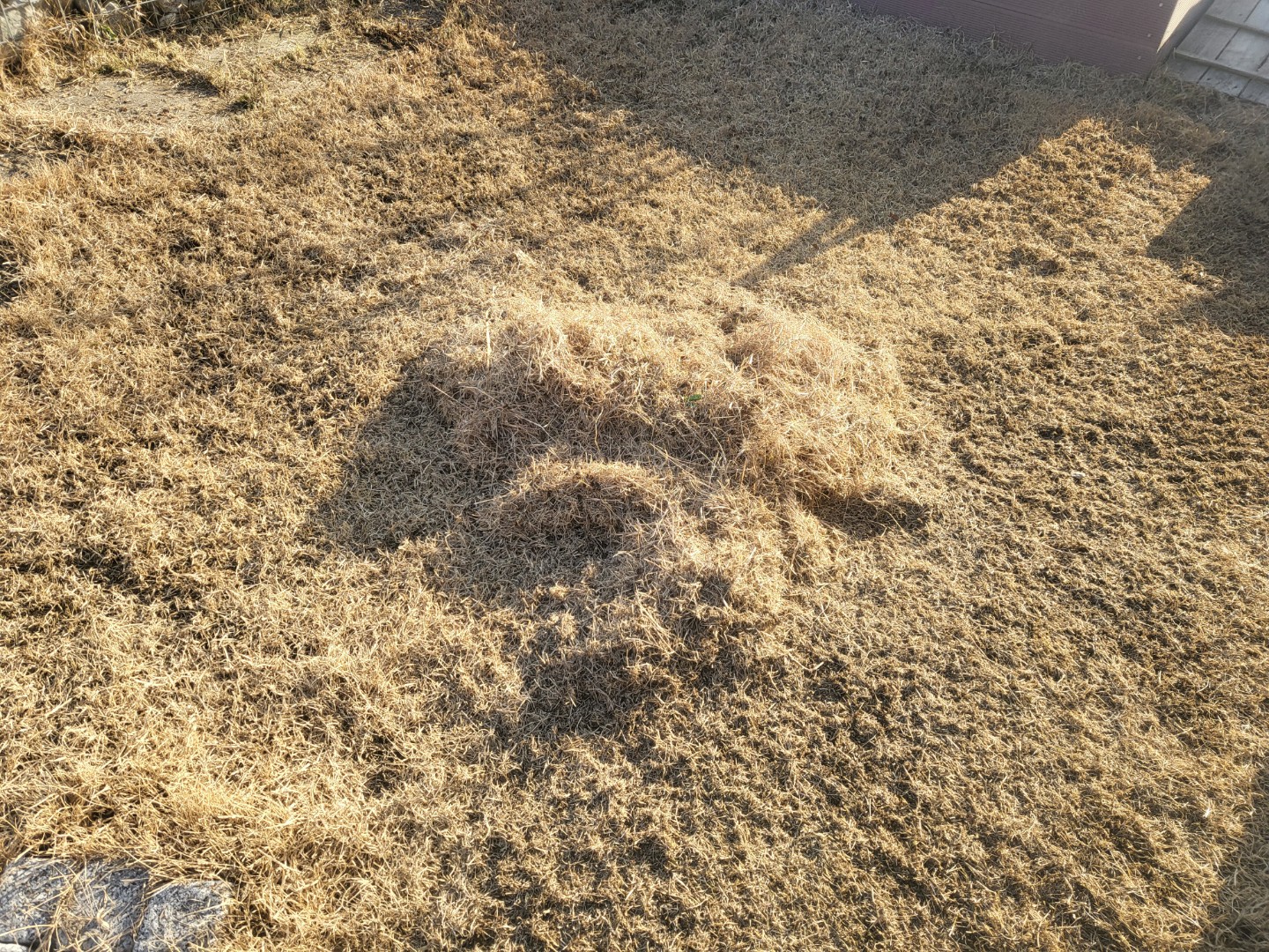 Post image 7