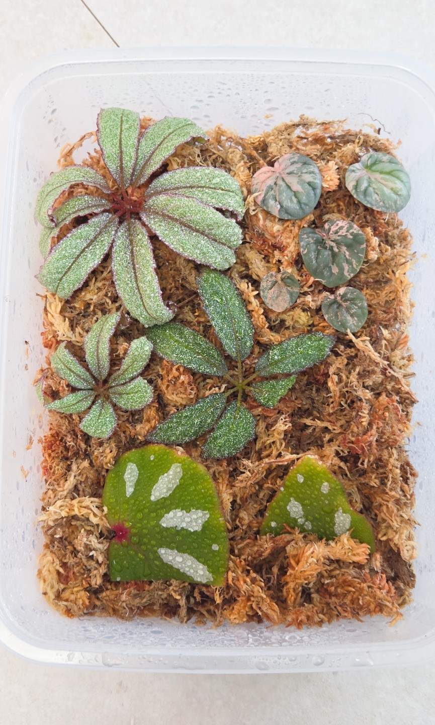 Post image 9