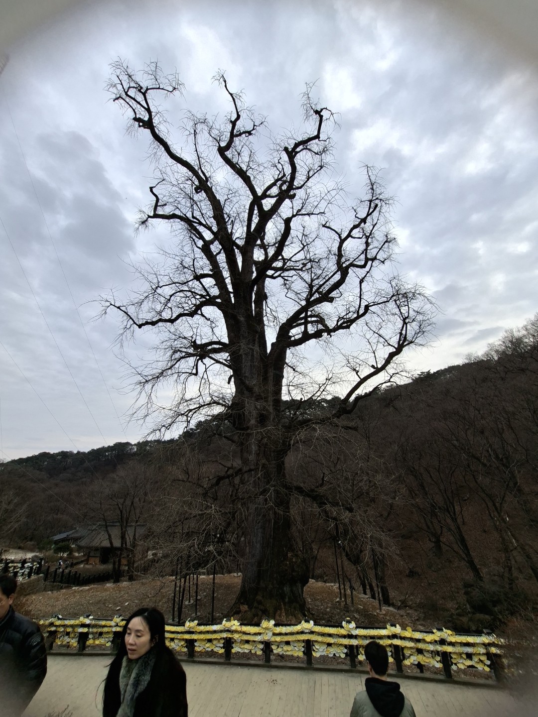 Post image 8
