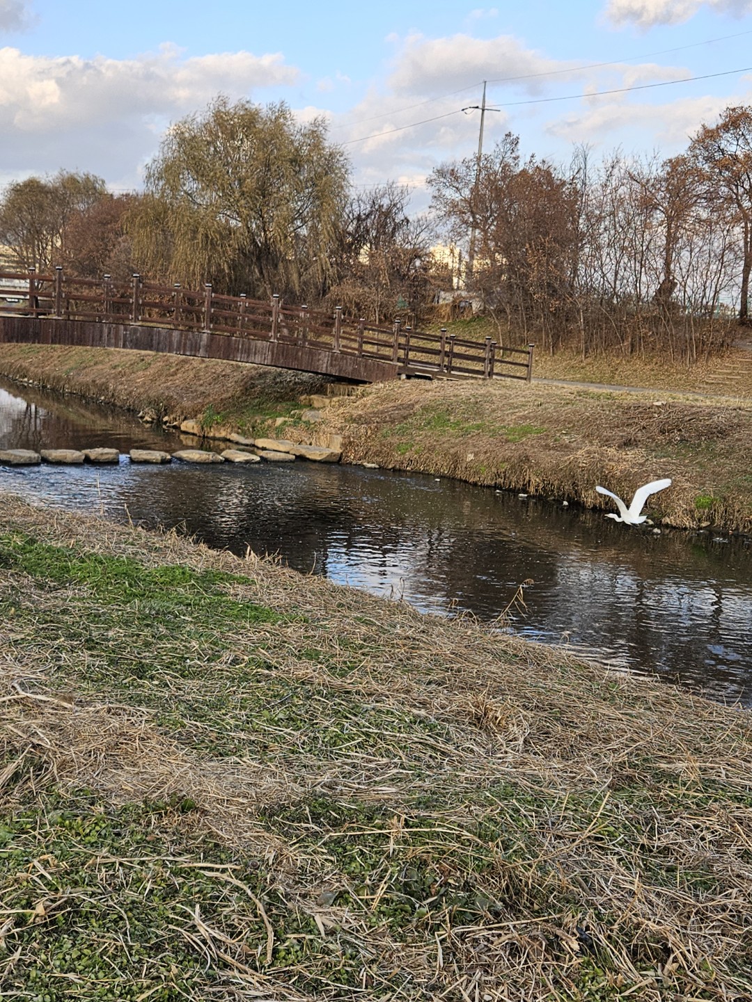 Post image 3