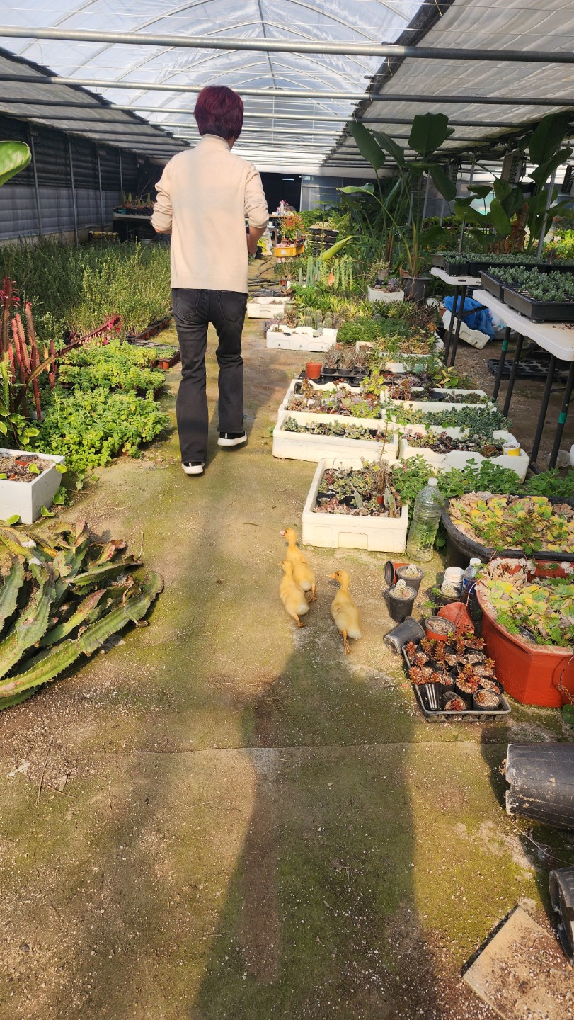 Post image 6